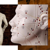 Formation Acupuncture des 5 éléments