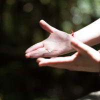 Soins pour les thérapeutes